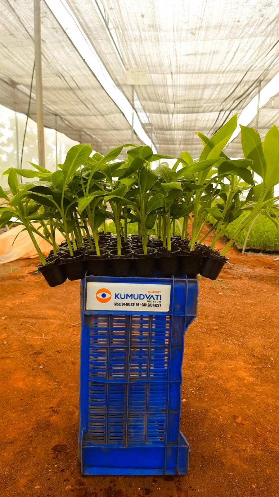Agricultural planting materials