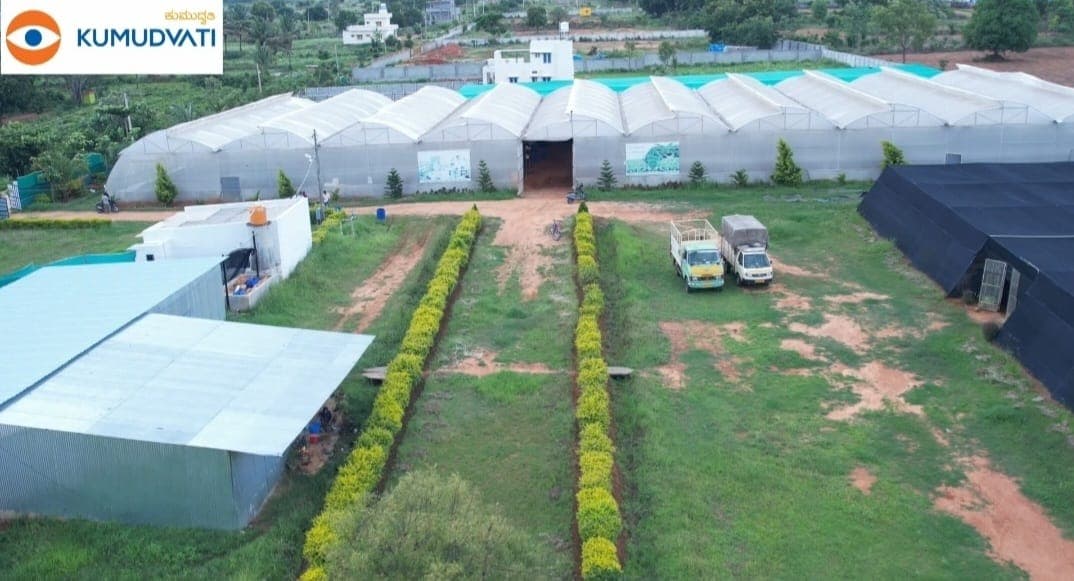 Agricultural planting materials
